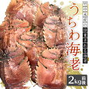 【ふるさと納税】 うちわ海老 2kg 前後 刺身 竹中水産 海老 エビ えび ギフト プレゼント 贈り物 送料無料 【H22-253】【配送不可地域：離島・北海道・沖縄県・東北・関東・信越、北陸・東海・九州】【1073910】