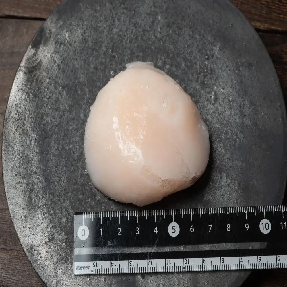 ホタテ 2Lサイズ500g(8～10粒入)  3パック 