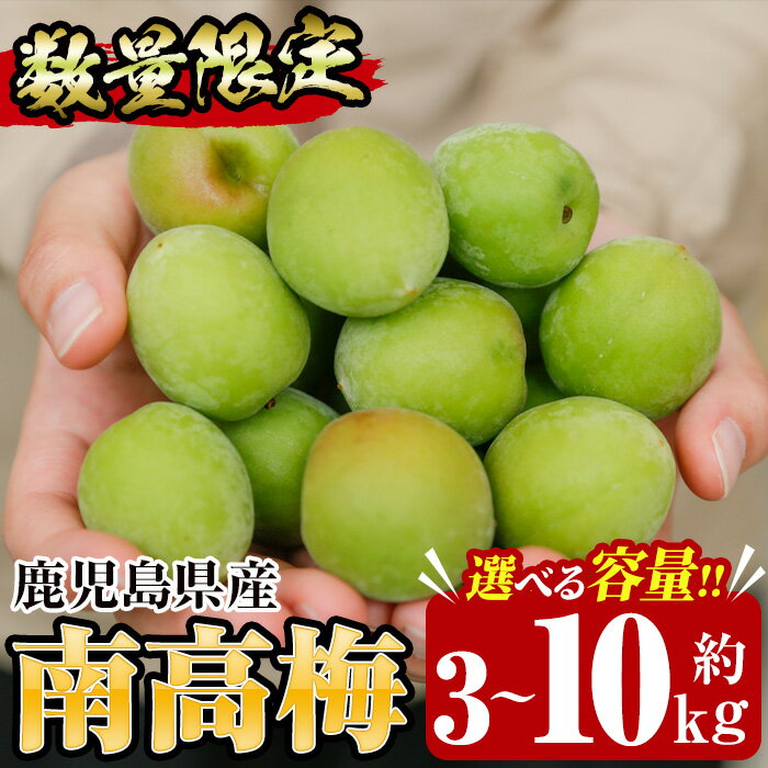 【ふるさと納税】＜先行予約受付中！＞《容量が選べる！》朝日梅園の南高梅(3～10kg) 国産 九州産 野菜 南高梅 生梅 青梅 梅の実 うめ ウメ 青果 果物 梅酒 梅干し 梅シロップ 梅ジュース 梅ジャム【朝日梅園】