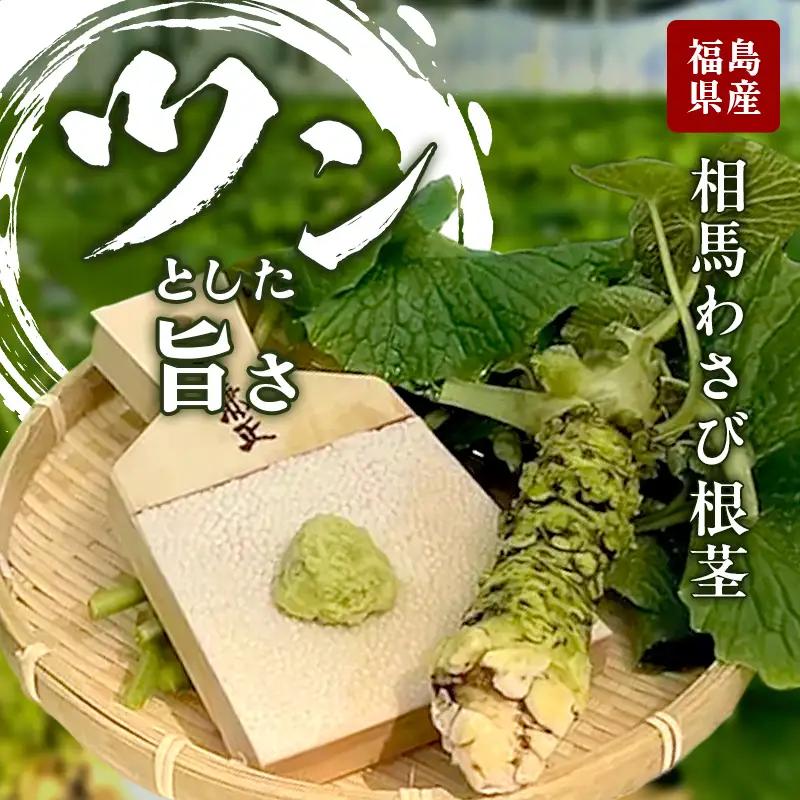 ツンとした旨さ 相馬わさび（根茎） 1本  薬味 野菜 食品 FAI-0030