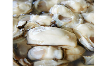 横綱牡蠣！吉田水産のむき身牡蠣 Lサイズ 1kg(500g×2p) 【 むき身 牡蠣 かき 大粒 小分け 加熱用 冷蔵 三陸 リアス海岸 広田湾 3年牡蠣 】RT817