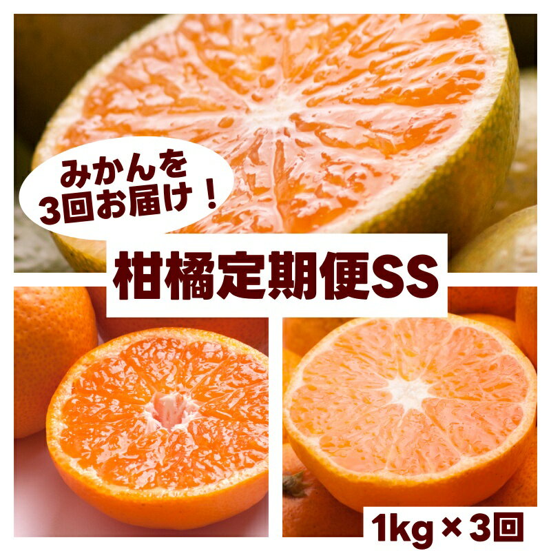 【ふるさと納税】 柑橘 定期便 SS【全3回】【 和歌山 県 有田 】 ※北海道・沖縄・離島への配送不可 / 定期便 フルーツ ゆら早生みかん 有田みかん 3回 //teiki