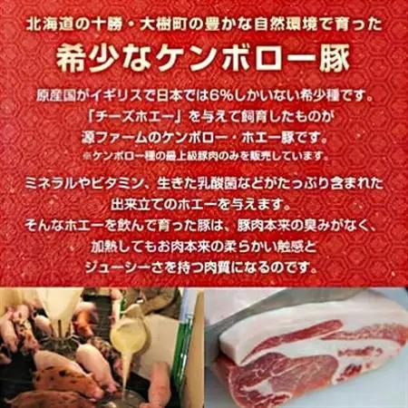 ケンボロー・ホエー豚　ベーコンスライス100g×5pセット_肉 ベーコン・サラミ 豚肉 _【配送不可地域：離島】【1484145】