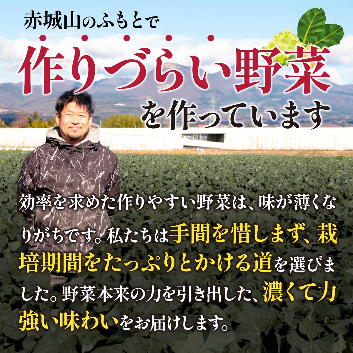 野菜ソムリエが送る 良農園の旬野菜ギフト