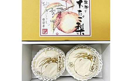 梨 2026年 先行予約 あたご梨 2玉（約1.7kg） 化粧箱入り  岡山県産 梨