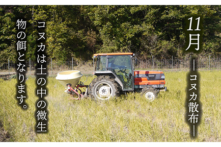 【令和7年産】玄米「廿ノ極」（4.5kg）多治見市/廿原ええのお お米 米 国産 多治見市産 プレゼント 贈答 贈り物 送料無料  [TCI001]