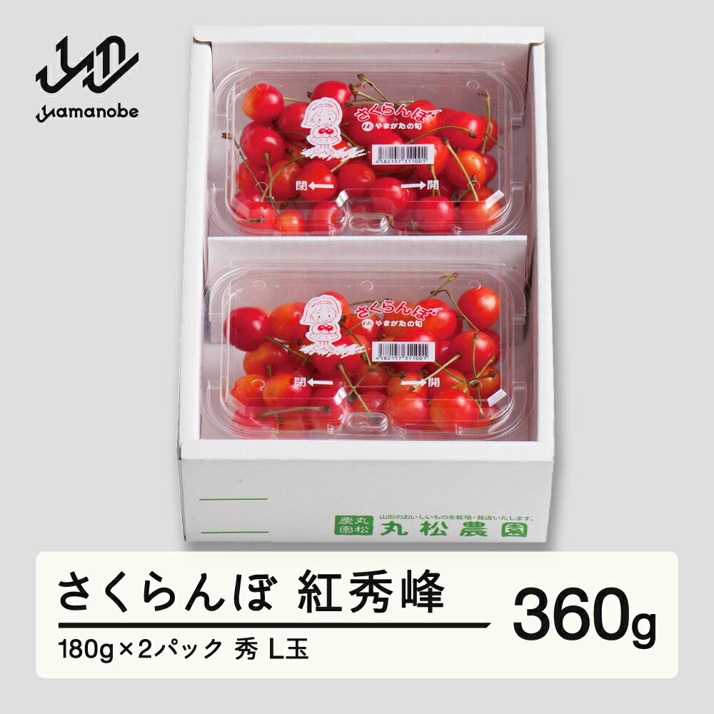 【ふるさと納税】【先行予約】さくらんぼ 紅秀峰 秀品 L玉 180g×2パック 2026年産 令和8年産 山形県産 送料無料 mm-bsplx400