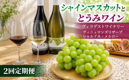 
                  【2回定期便】シャインマスカット＆とうみワインの定期便（シャインマスカット2房／ヴィニュロンズリザーブシャルドネ、メルロー）｜【JA信州うえだ／ヴィラデストワイナリー】ぶどう 葡萄 大粒 果物 フルーツ ワイン 頒布会 長野
                