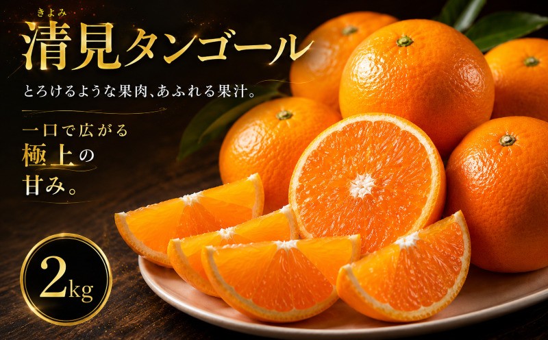 
                  【選ぶならこれ】 果汁じゅわっと 【清見タンゴール】 2kg 愛媛県産 【2027年2月下旬頃から順次発送】 | 清見 タンゴール みかん ミカン mikan 蜜柑 訳ありフルーツ 柑橘 果物 おすすめ お勧め お取り寄せ ギフト 愛媛県 松山市
                