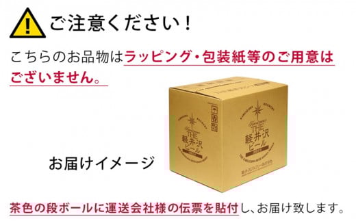 THE軽井沢ビール　10種20缶　飲み比べ　ギフトセット　12カ月定期便