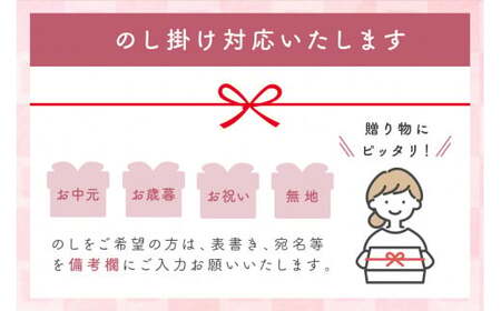 【令和7年産】【新米先行予約】石見産 きぬむすめ 10kg<2025年11月より配送開始> 米 お米 きぬむすめ 精米 白米 玄米 ごはん お取り寄せ 特産 10キロ 10kg 【058_1835】