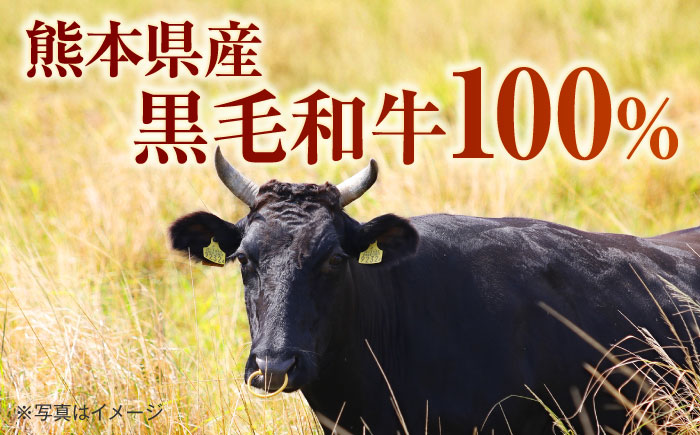 熊本県産 こだわり炒飯 大人の黒毛和牛炒飯 計2.3kg (230g×10) [BHCS003]