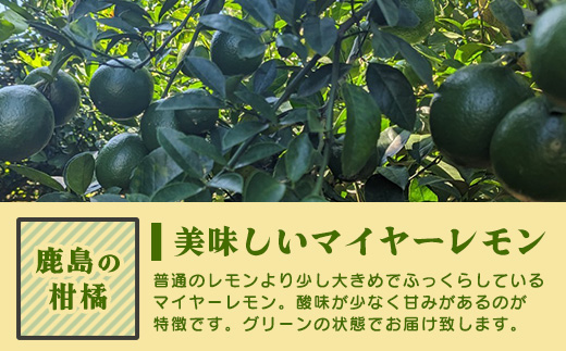 【産地直送】【農家直送】【予約受付】【数量限定】佐賀県鹿島市産 マイヤーレモン 5kg サイズ混合【9月中旬頃より配送】B-726