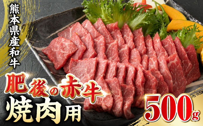 肥後の赤牛 焼肉 500g やきにく 焼き肉 贅沢 熊本 赤牛 褐牛 あかうし 褐毛和種 肥後 冷凍 国産 牛肉【やまのや】[YDF005]