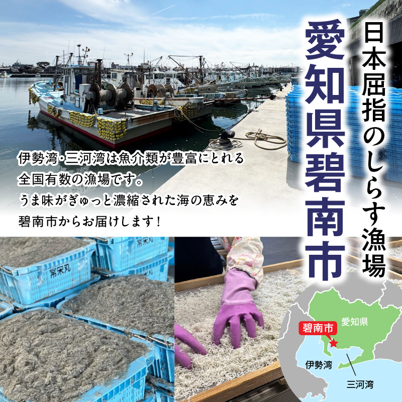 訳あり こモリ1kg！バラエティ豊富な三河しらす～海の仲間たち～　H018-046