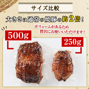 No.876 ＜定期便・全3回(隔月)＞鹿児島県産の焼豚大ブロック(計1kg・約500g×2本×3回)国産 九州産 焼豚 叉焼 チャーシュー ラーメン 具材 お中元 お歳暮 ギフト 贈答 詰め合わせ 