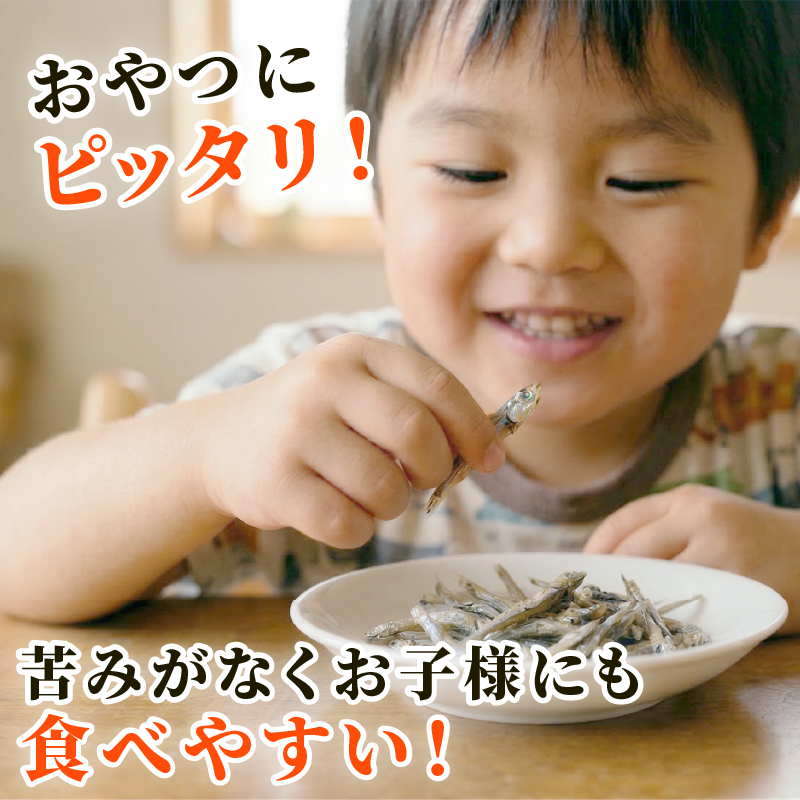 小平カエリ 900g 小平 こべら カエリ コベラ かえりちりめん 干物 しらす 小分け 冷凍配送 お取り寄せ 国産 おかず じゃこ ご飯のお供 おかず 加工品 海の幸 グルメ 食品 魚介 小魚 海鮮