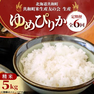 ふるさと納税 共和町 【毎月定期便】 特Aランク 北海道共和町産 ゆめぴりか 精米 5kg全6回