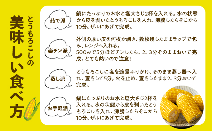 北海道 倶知安町 とうもろこし 味来 みらい 北海道 5kg 2Lサイズ 大きめ 夏野菜 とうきび 旬 新鮮 野菜 トウモロコシ ギフト 産地直送 産直 お取り寄せ 詰め合わせ 送料無料 13本 高糖度