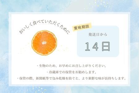 『予約受付』【令和6年6月上旬発送】夏の極上ハウスみかん「夏織」1.3kg  贈答箱・ギフトボックス入り ~海と空と、みかん~ 甘くてとろける夏の果物に ミカン フルーツ 柑橘