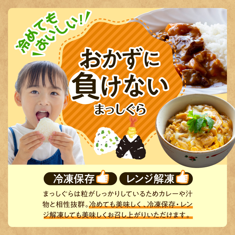 令和7年産 米 5㎏ まっしぐら 青森県産 （精米） 【 青森県 五所川原市 白米 お米 コメ こめ 5キロ 】