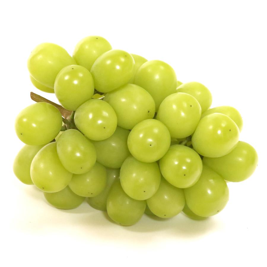 ＜宇和島青果＞【12月下旬発送】シャインマスカット1房