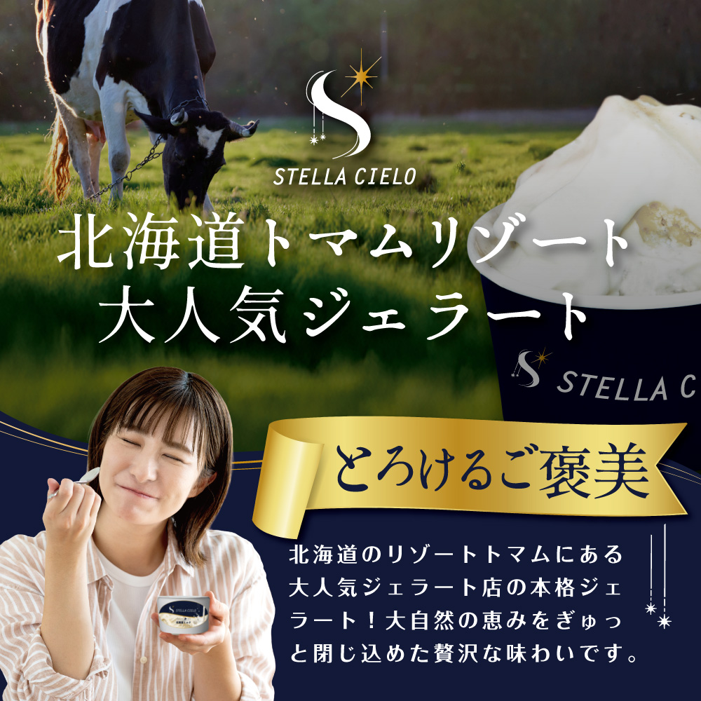 STELLA CIELO 北海道ジェラート4個 カラフル | 北海道ミルク チョコラータ 北海道赤肉メロン 北海道ハスカップ