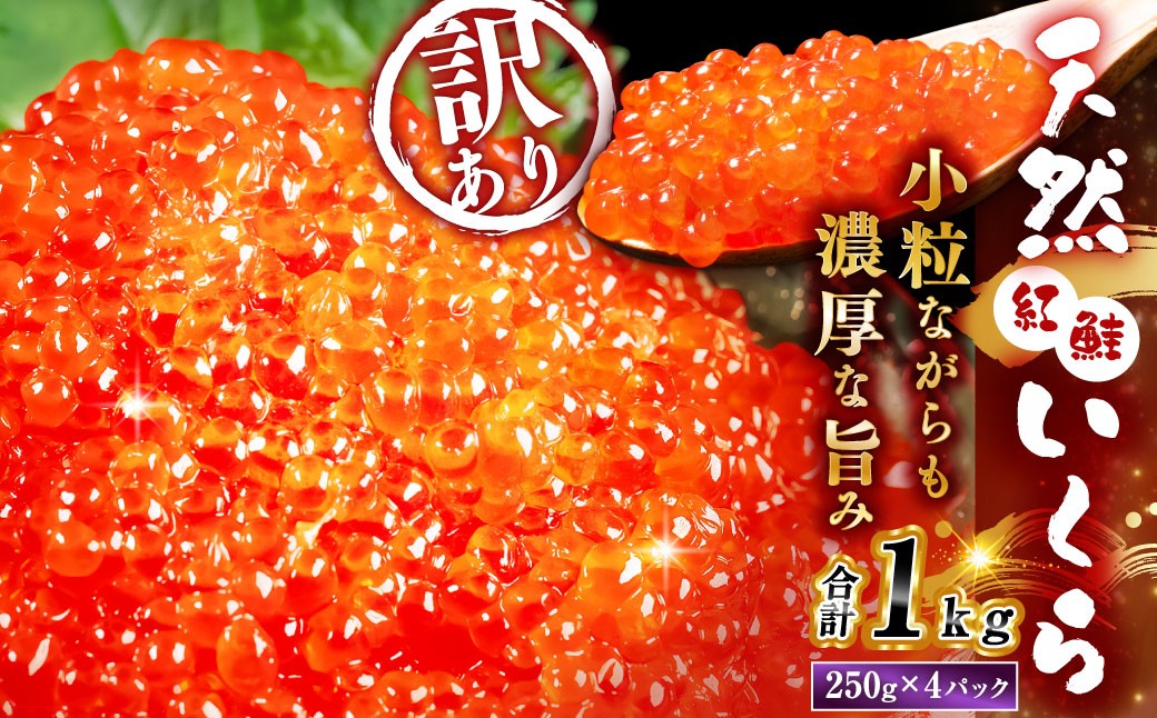 
                   【先行予約】 新物 天然紅鮭いくら 醤油漬け 1kg （ 250g × 4 ） 【2026年11月以降順次発送】　いくら イクラ 海鮮 天然紅鮭 魚卵 卵 イクラ丼 いくら丼 手巻き寿司 小粒 魚介類 魚介 寿司 丼 冷凍 旨味
                
