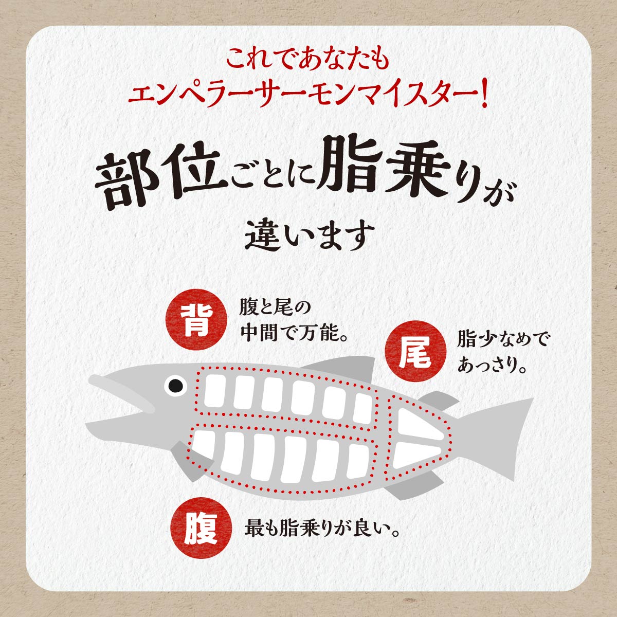 ※2025年9月末までにお届け※エンペラーサーモン≪プレーンタイプ≫【1.8kg】