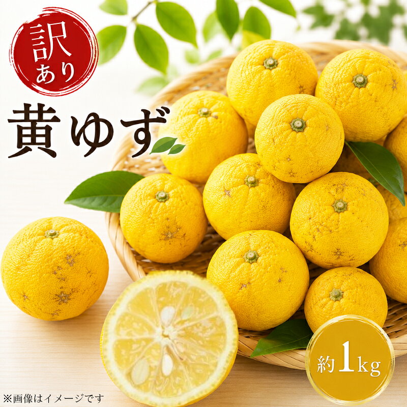 【ふるさと納税】訳あり ゆず 1kg 家庭用 小ぶり 黄色 ユズ 柚子 旬 果実 果汁 みかん 柑橘 フルーツ 酸味 シロップ トッピング 薬味 料理用 サイズ不揃い 送料無料 徳島県 吉野川市 やま辛ペッパーズ