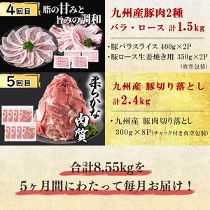 【定期便全5回】生活支援定期便(5ヶ月連続・総量9kg以上) 国産牛 九州産 豚 豚肉 肉 牛肉 国産 しゃぶしゃぶ 豚バラ 切り落し たれ漬け 大容量 人気 小分け 真空包装 t005-020