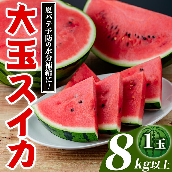 【ふるさと納税】大玉スイカ(1玉・8kg以上) 国産 九州産 鹿児島産 すいか スイカ 西瓜 フルーツ 果物 デザート 夏 旬 水分補給 夏バテ予防 熱中症対策【株式会社マキオ】akn068-04