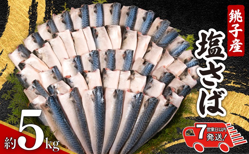 
                  【 スピード配送 】 銚子産 塩さば 5kg 銚子港 国産 塩鯖 さば 鯖 さばフィーレ 鯖フィーレ さばフィレ 鯖フィレ 新鮮 鮮度抜群 切り身 切身 無添加 添加物不使用 小分け 個別冷凍 お弁当 惣菜 おかず 塩焼き 焼きさば 味噌煮 調理用 料理 冷凍 冷凍品 長期保存 お取り寄せ グルメ 魚 大容量 ギフト 贈り物 ふるさと納税 ふるさと納税さば 送料無料 千葉県 銚子市 エドノフーズ
                