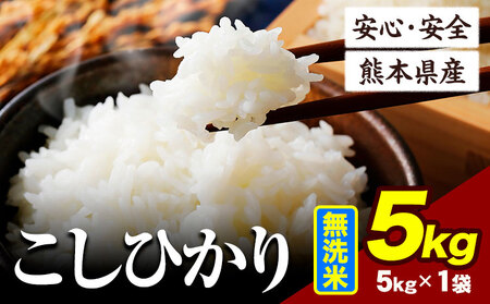 令和6年産 こしひかり 5kg 《7-14日以内に出荷予定(土日祝除く)》熊本県産 ｜無洗米無洗米無洗米