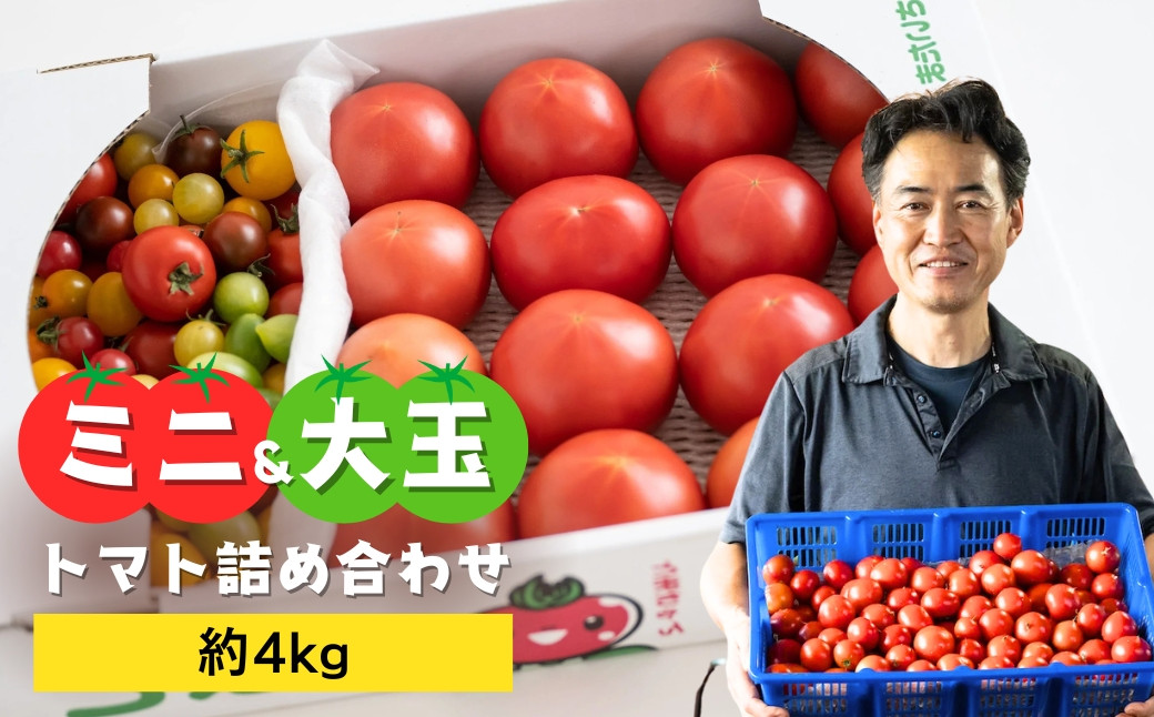 
            トマト 大玉 約3kg＆ミニ 約1kg 詰め合わせ | とまと tomato 国産 完熟トマト 木熟トマト 野菜 野菜セット 野菜ギフト 贈答 贈り物 プレゼント 旬の野菜 野菜詰め合わせ つめあわせ 旬 季節限定 産直 産地直送 農家直送 新鮮 採れたて 獲れたて 産地直送 ベジタブル ヘルシー 健康 北本産 加藤トマト園 埼玉県 北本市
          