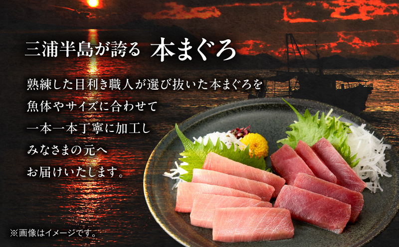【高島屋バイヤーセレクション】三崎港直送 天然本まぐろ　M038-003
