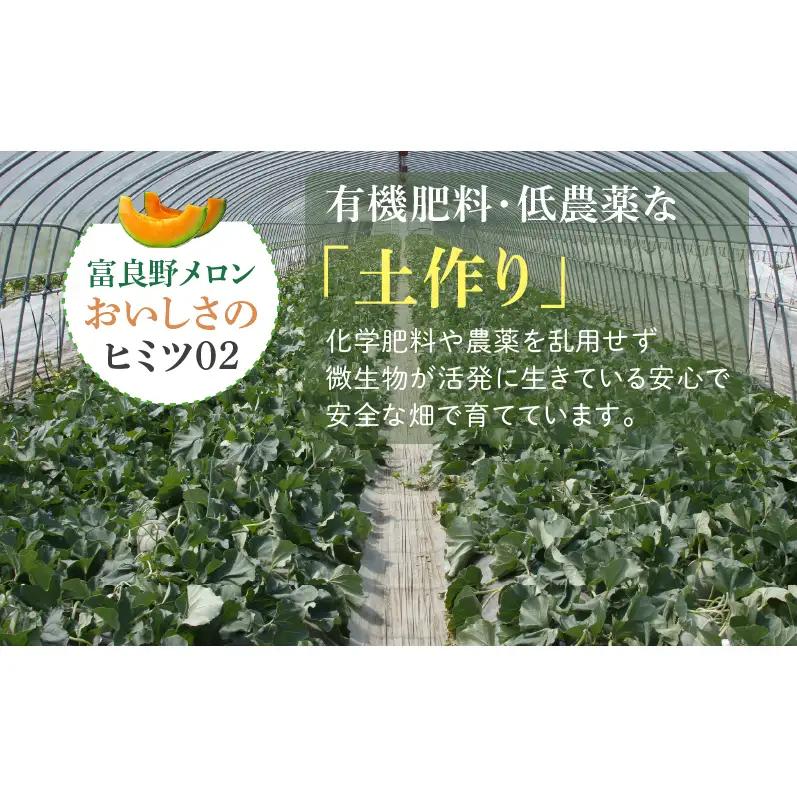 【2026年夏発送】北海道 富良野メロン 5玉 計約8kg メロン 果物 赤肉