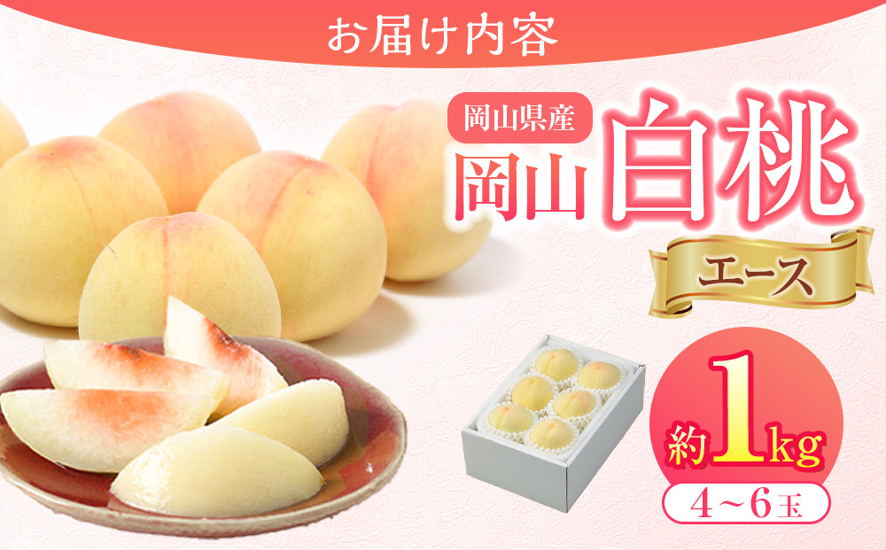 岡山県産 桃 岡山白桃 2024年 先行予約 エース 約1kg（4～6玉）早生種・中生種 もも モモ フルーツ 果物 ギフト