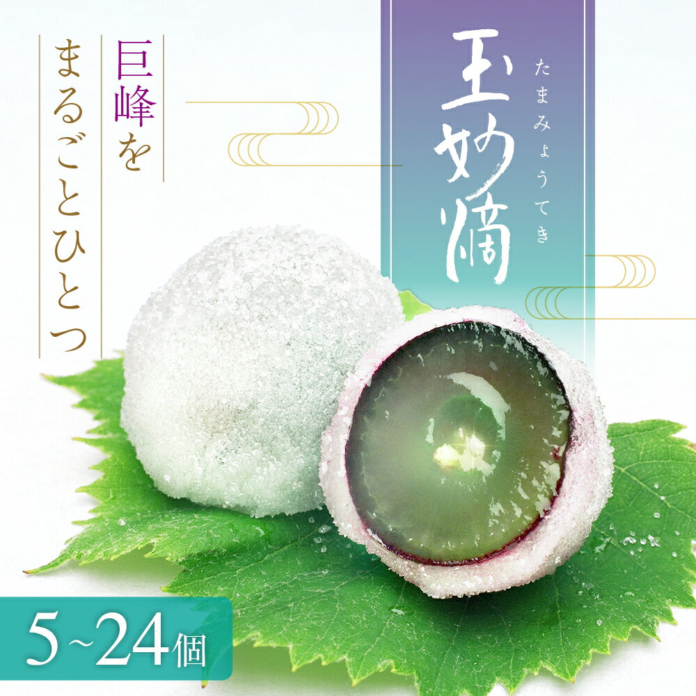 【ふるさと納税】玉妙滴 5個入 12個入 16個入 24個入 スイーツ 和菓子