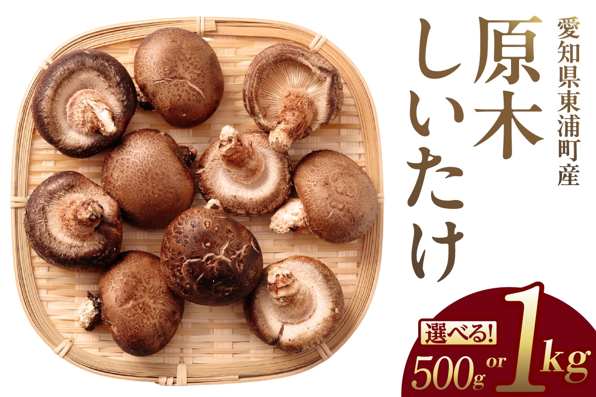
                  【先行予約：26年10月～発送】東浦町産 原木栽培生しいたけ【選べる容量】│椎茸 原木栽培 生 国産 愛知県
                