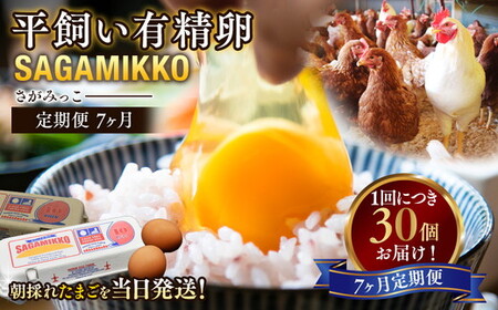 【7ヶ月定期便】平飼い有精卵 さがみっこ 30個（10個×3パック）｜たまご 平飼い 有精卵 かながわブランド認定