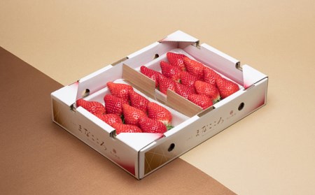 【先行予約】いちご とちおとめ 280g×2P 苺 とちおとめ