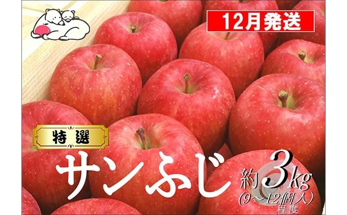
            [№5554-0344]【12月発送】白熊 特選 サンふじ 絆 約3kg 糖度13度【青森りんご 果物 フルーツ 食後 デザート シャキシャキ ジューシー りんごの王様 】
          