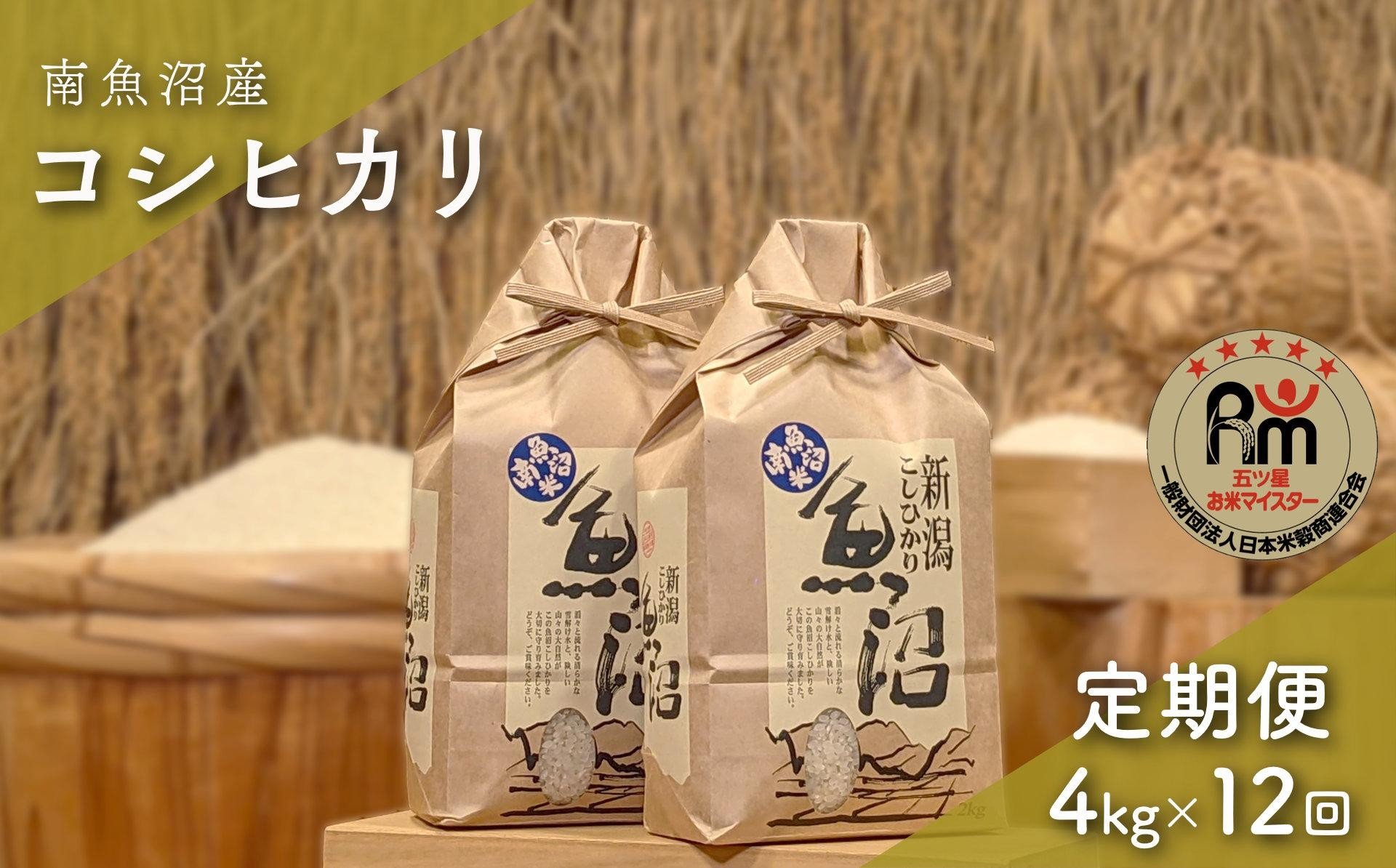 
            令和７年産「五つ星お米マイスター」の南魚沼産コシヒカリ　精米４kg（２kg×２個）×12回（毎月定期便）
          