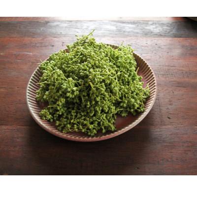 ふるさと納税 印南町 熊野牛　加工品　バラエティセットミニ(粉山椒付) |  | 03