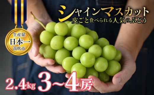 【2026年発送★先行予約】山梨県笛吹市産 シャインマスカット 約2.4kg 3～4房 皮ごと食べられる人気のぶどう 262-010-26y