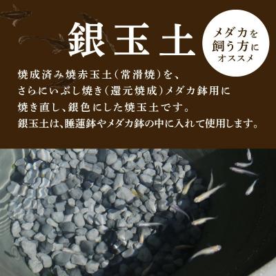 ふるさと納税 碧南市 銀玉土1リットル めだか鉢 金魚鉢 メダカ 鉢 陶器 睡蓮 多孔質土　H100-084 |  | 01