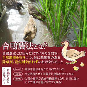 【令和7年度新米】山梨・北杜　米物語(12品種白米アソートセット) 米 12品種 白米 アソートセット 安心 安全 農薬不使用 化学肥料不使用 山梨県 北杜市
