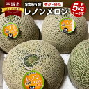 【ふるさと納税】 メロン レノンメロン 約5kg（3～6玉）秀品 優品 赤肉メロン 国産 九州 熊本県 宇城市 送料無料 【2025年4月下旬～5月下旬発送予定】