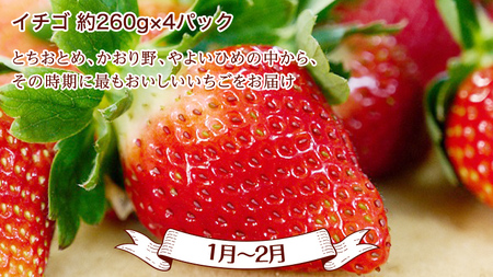 【 定期便 】【 2024年9月から発送開始 全4回 】 数量限定 フルーツ定期便 贅沢 フルーツ 満喫コース 旬 旬の果実 旬のフルーツ くだもの 果実 トマト フルーツトマト スイカ いちご メロ